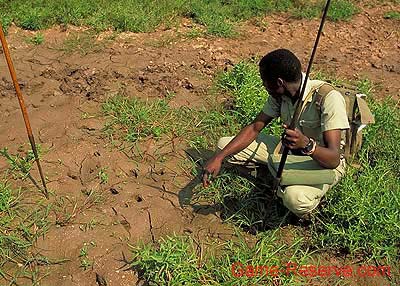 tracker_spotting